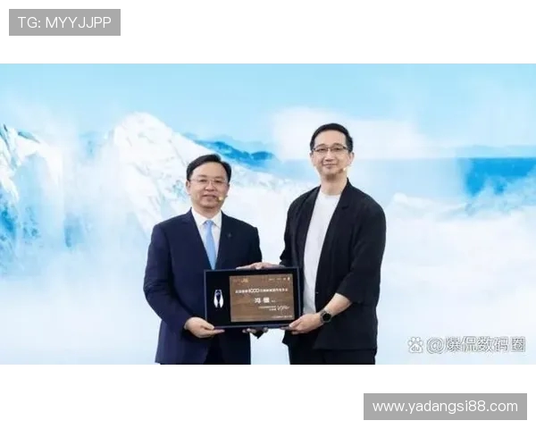 代怀博的成长之路与未来发展展望：从初创到行业领军者的蜕变之旅